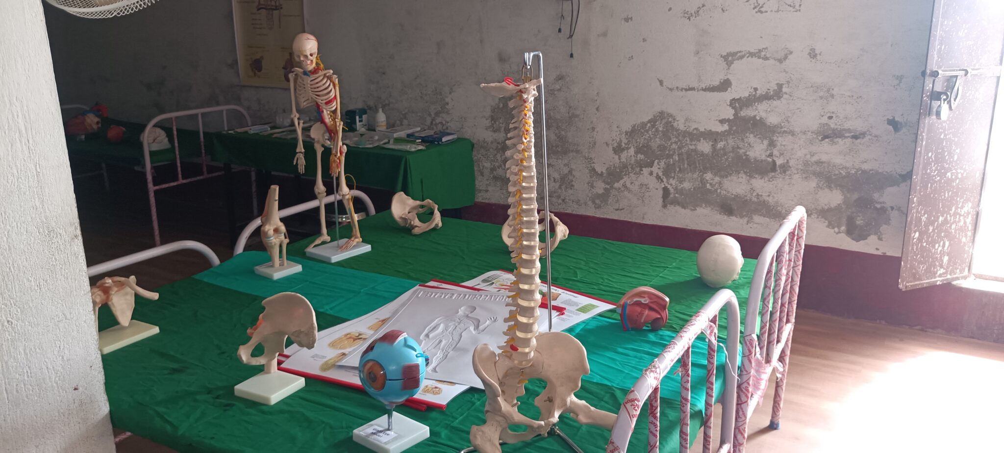 IMG20240716131027 - Copy