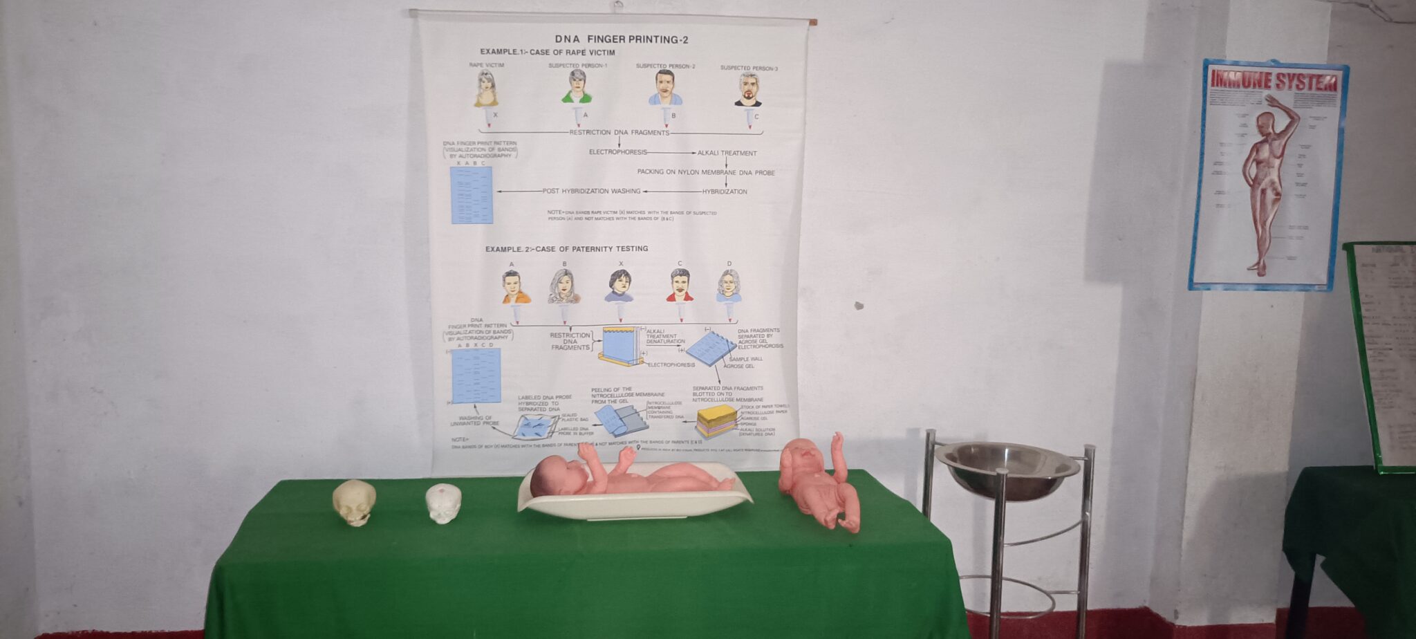 IMG20240716131149 - Copy